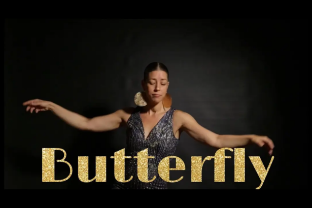 butterfly