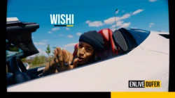wishienlivedufer